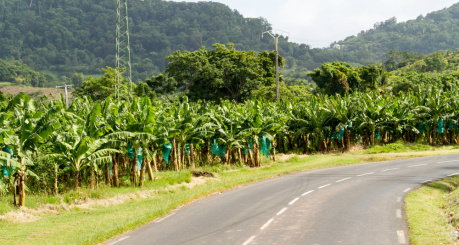 ROUTE avis antilles